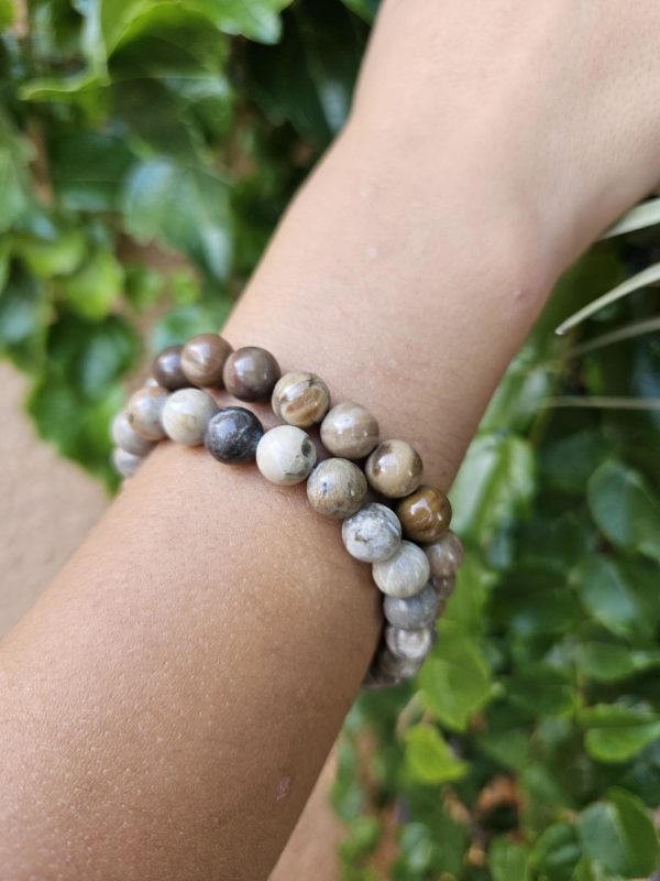 Bracelet Bois Fossile