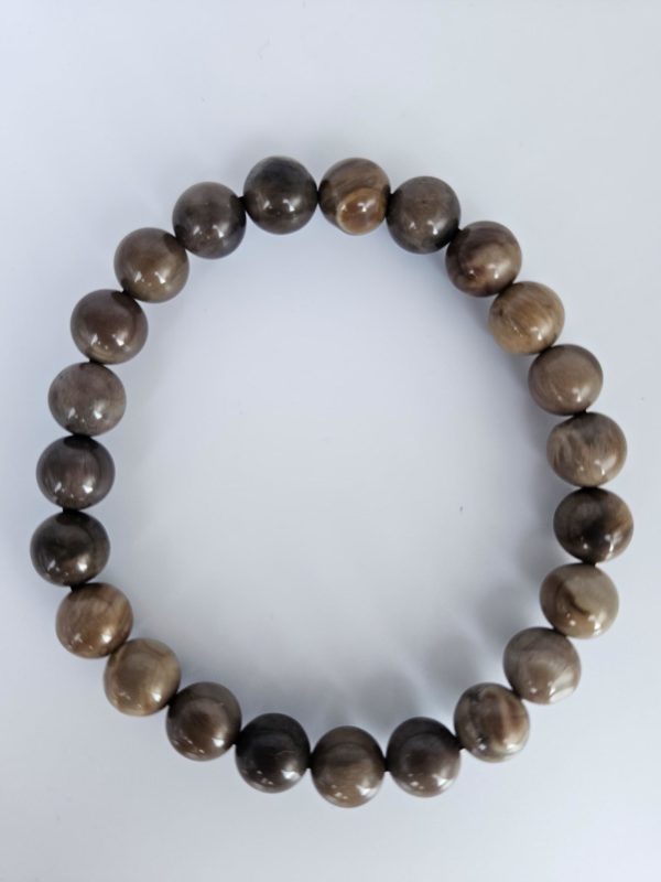 Bracelet Bois Fossile