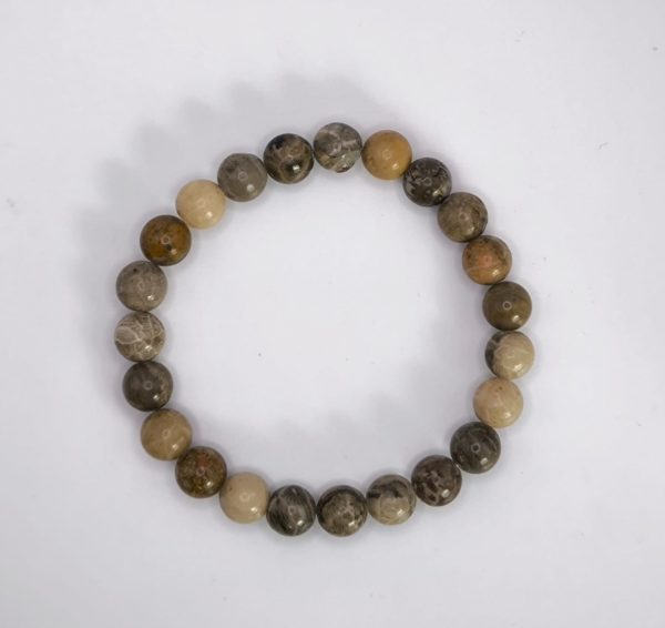 Bracelet Corail Fossile