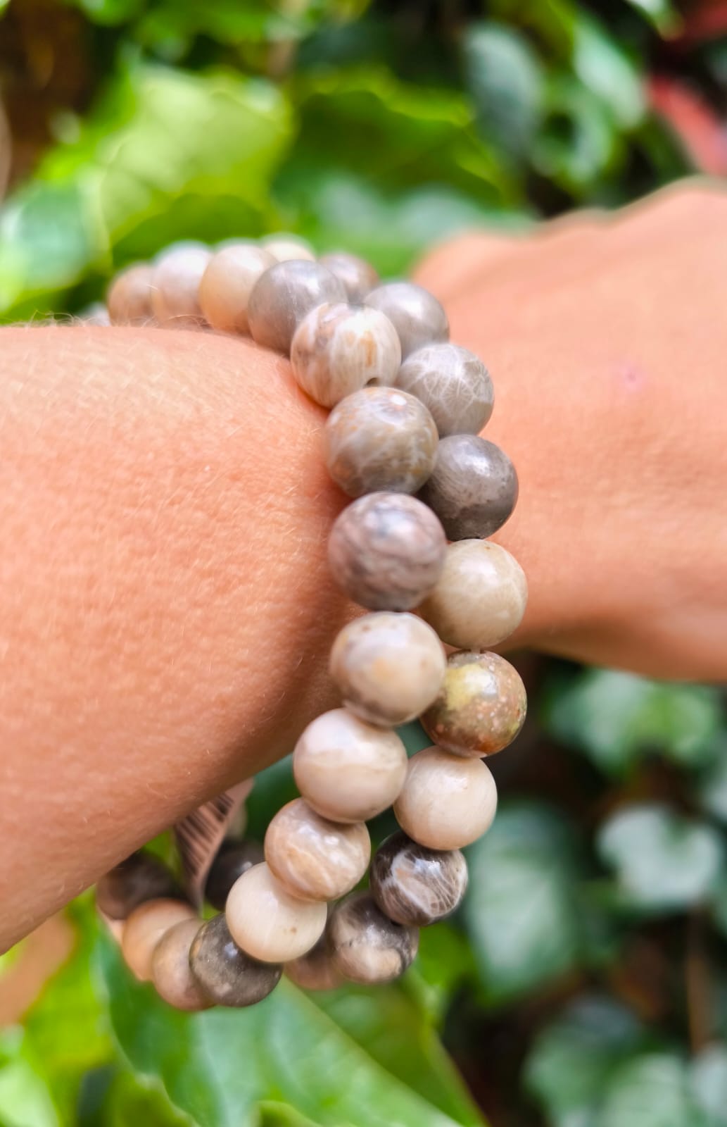 Bracelet Corail Fossile