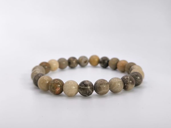 Bracelet Corail Fossile