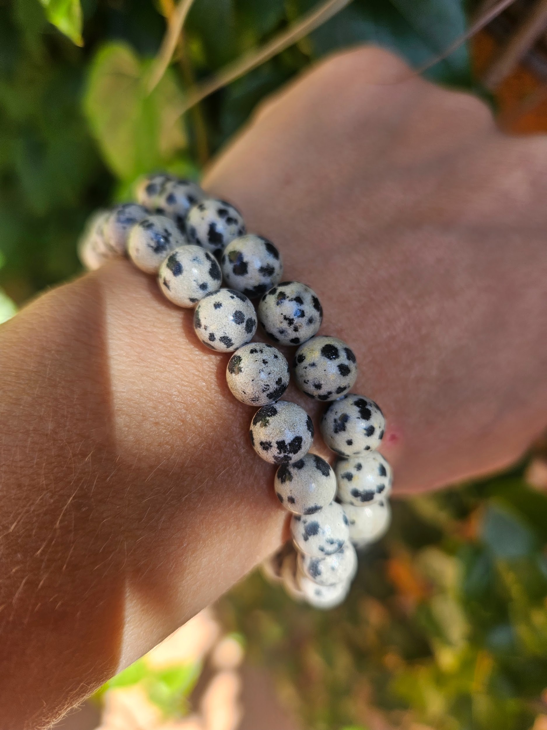 Bracelet Jaspe Dalmatien